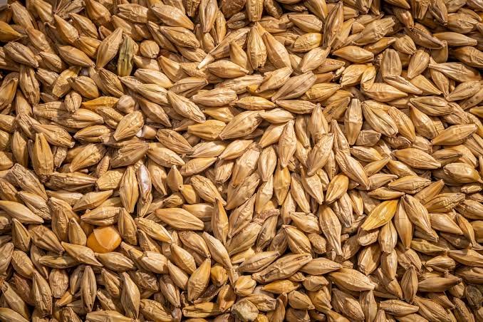 Barley Maubis Trading B.V.