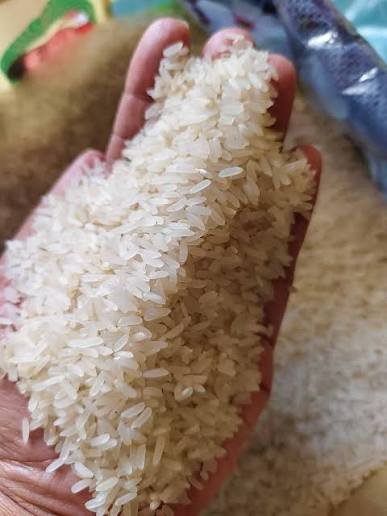IR64 Rice Supplier - Maubis Trading B.V.