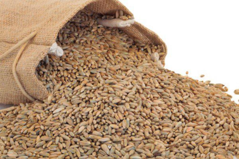 Maubis Trading B.V. Rye Grains Supplier