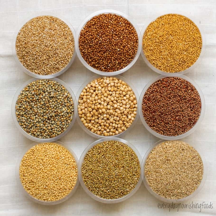 Millet Supply - Maubis Trading B.V.