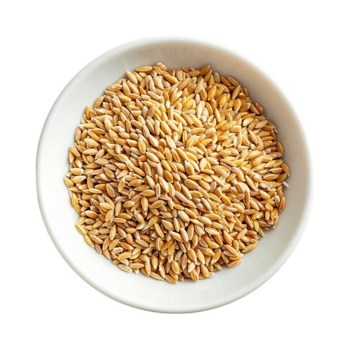 Oats Grains - Maubis Trading B.V. Distribution