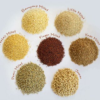 Proso & Dehusked Millet Bulk