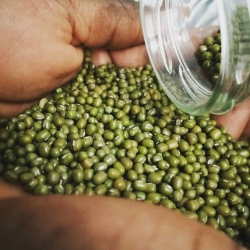 Wholesale Green Mung Beans