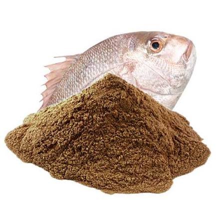 Wholesale Premium Fish Meal