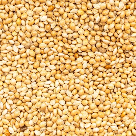 Wholesale Proso & Dehusked Millet