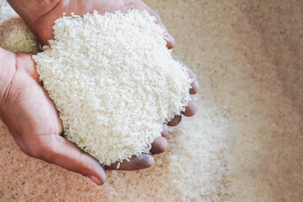 raw Jasmine Rice