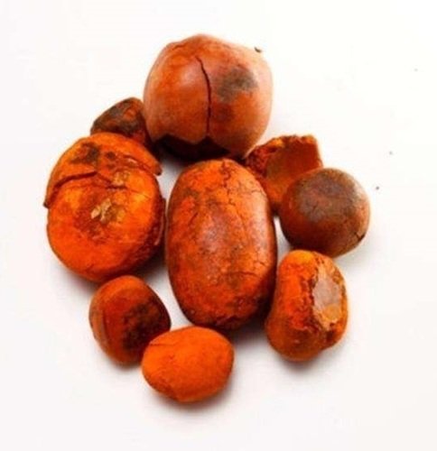 Buy Cow Gallstones Bulk