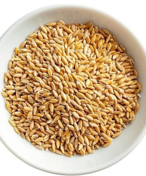 Oats Grains - Maubis Trading B.V. Distribution