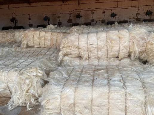 Sisal Fiber Twine and Industrial