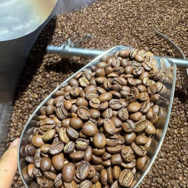 Wholesale Arabica Coffee Beans