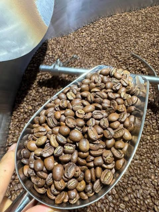 Wholesale Arabica Coffee Beans