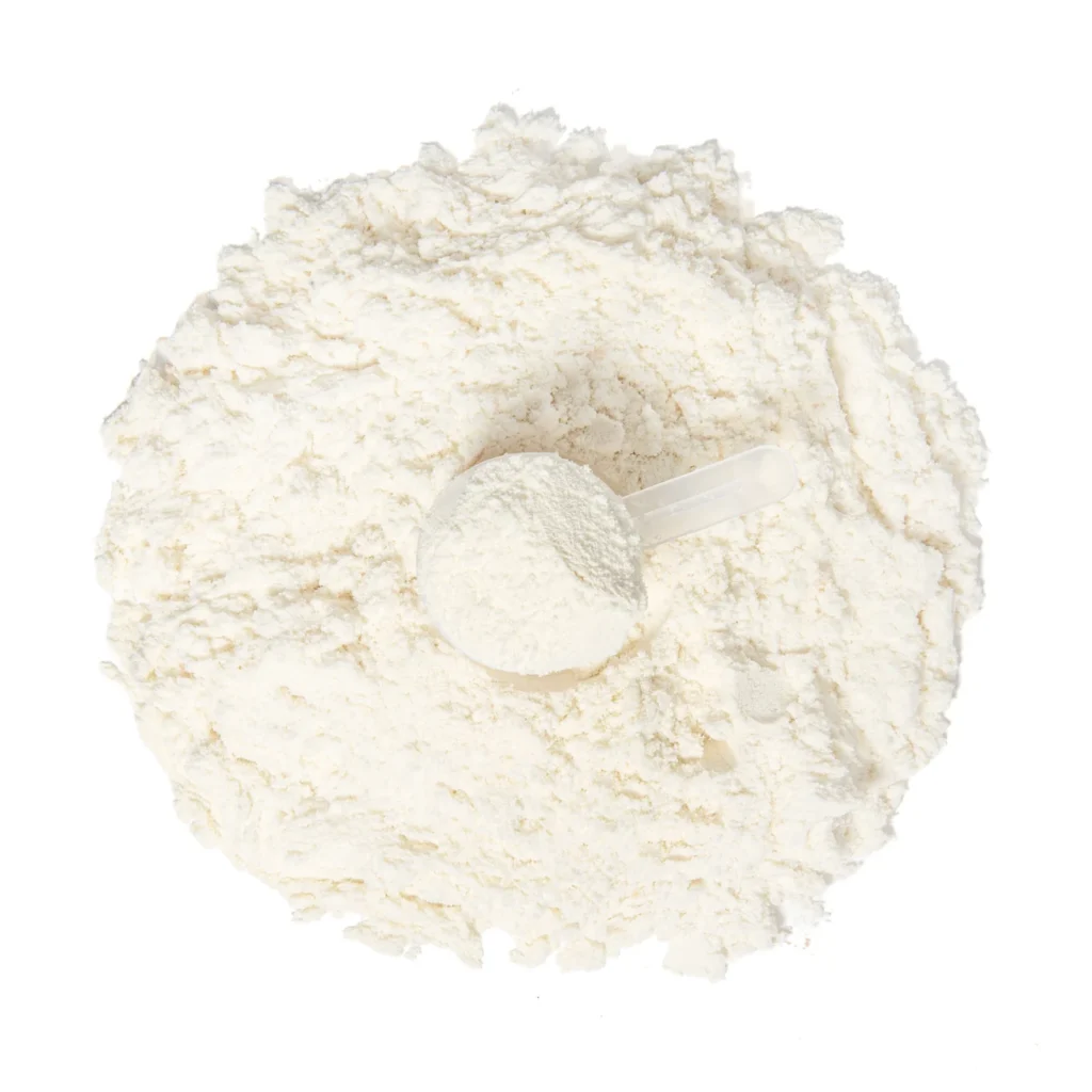 Wholesale Whey Protein Powder